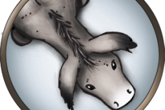 Token-round-donkey